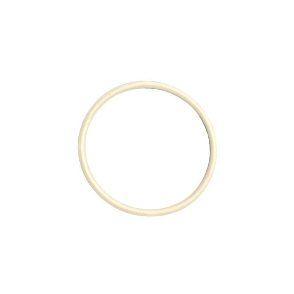 O-Ring PTFE